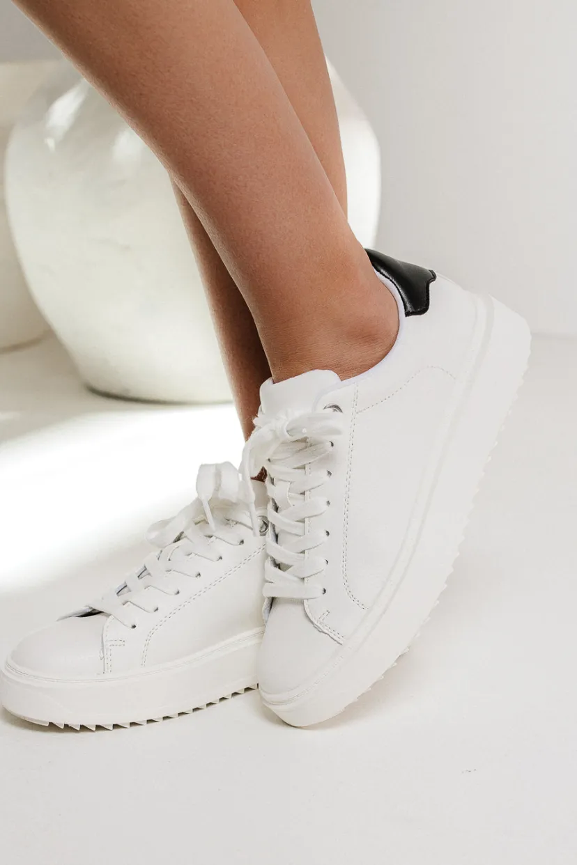 Shoes>Bohme Steve Madden Charlie Sneakers